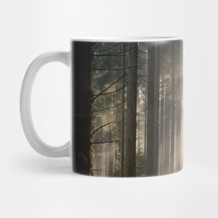 Sunshine on the dense forests after the rain Mug